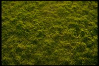 4085.GIF