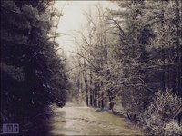 AMER04_I.GIF