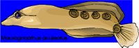 g0211865.WMF