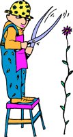 000803_1084_6250_VuvV.wmf