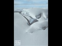 ANDES1.GIF
