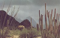 DESERT2.GIF