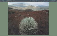 DESERT3.GIF