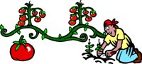 000803_1084_1854_VuvV.wmf
