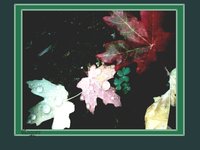 LEAF1.GIF