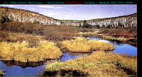 MARSH.GIF