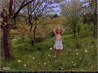MEADOW1.GIF
