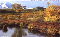 NORWAY1.GIF