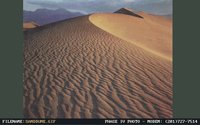 SANDDUNE.GIF