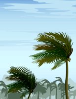 000803_1073_5718_vuvv.wmf