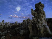 SB91005G.GIF