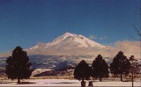SHASTA_2.GIF