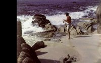 SURFIS.GIF