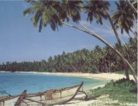 TROPICS.GIF