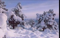 WINTER01.GIF