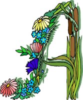 000803_1061_1888_vuvv.wmf