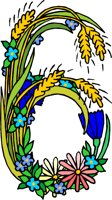 000803_1061_1897_vuvv.wmf