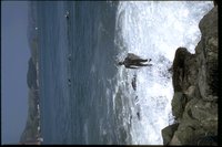 7012.GIF