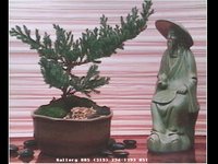 GALSCN42.GIF