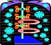000803_1054_2674_vuvv.wmf
