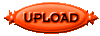00890100.gif