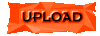 00t30100.gif