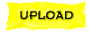 00t30101.gif