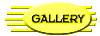 013a0101.gif