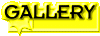 01qw0101.gif