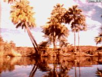 AUSTRAL1.GIF