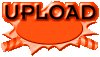 02p50100.gif