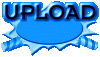 02p50102.gif
