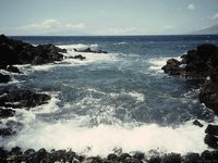 MAUIOCEN.GIF