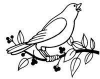 DOVE.TIF