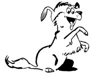 DOG.TIF