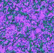 F009F.BMP
