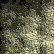 631Z.BMP
