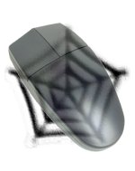 Web.bmp
