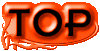 03l20100.gif