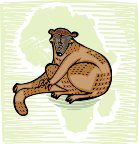 010911_0973_0023_vuvv.wmf