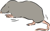 010409_0713_0107_vuvv.wmf