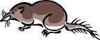010409_0713_0221_vuvv.wmf