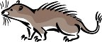 010409_0713_0224_vuvv.wmf