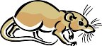 010409_0713_0233_vuvv.wmf