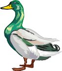 000803_1090_9120_vuvv.wmf