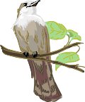 000803_1090_9123_vuvv.wmf