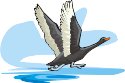 000803_1090_9667_vuvv.wmf