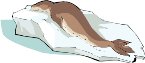 000803_1090_7245_vuvv.wmf