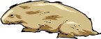 000803_1090_7241_vuvv.wmf
