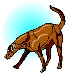 000803_1090_5735_vuvv.wmf